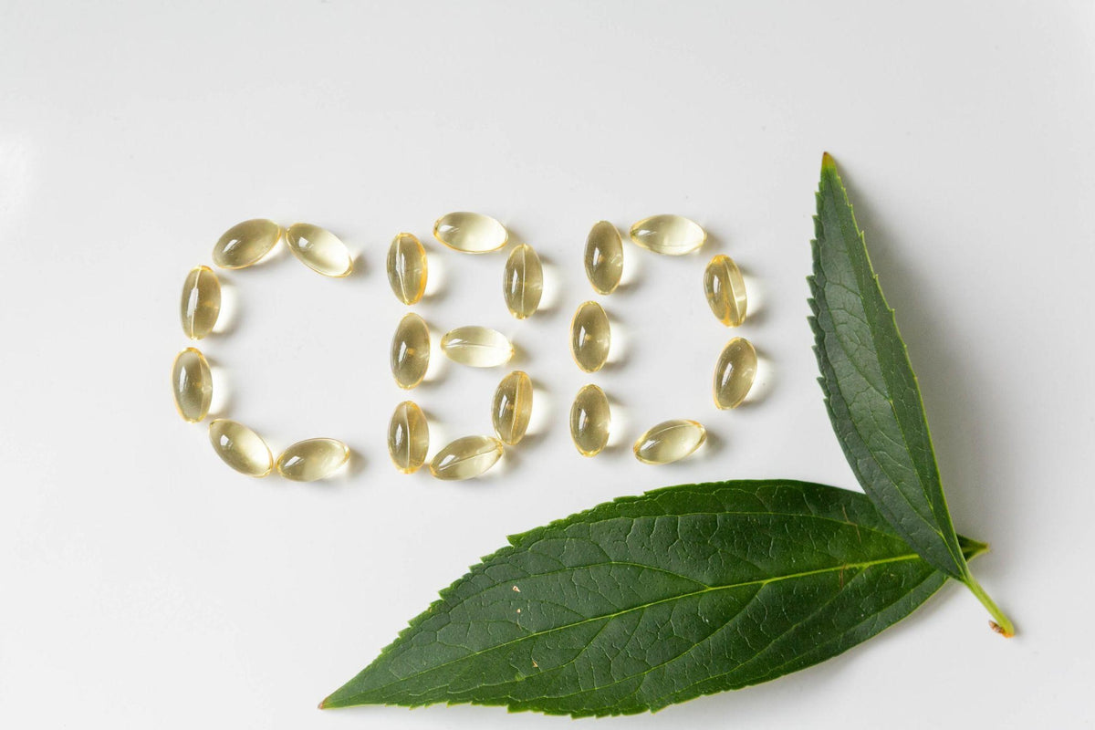 "Exploring the Science Behind CBD: Understanding How it Works for Pain Relief"
