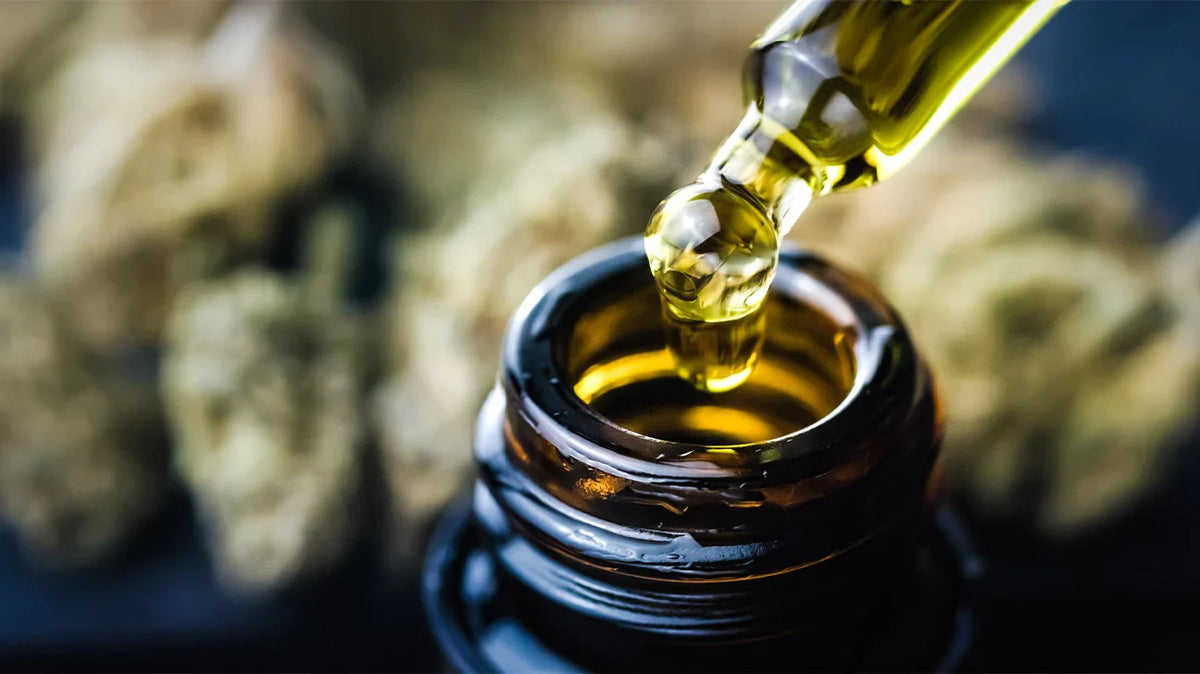 CBD Oil vs. Gummies: Which One is Best for Sleep, Anxiety, and Pain?