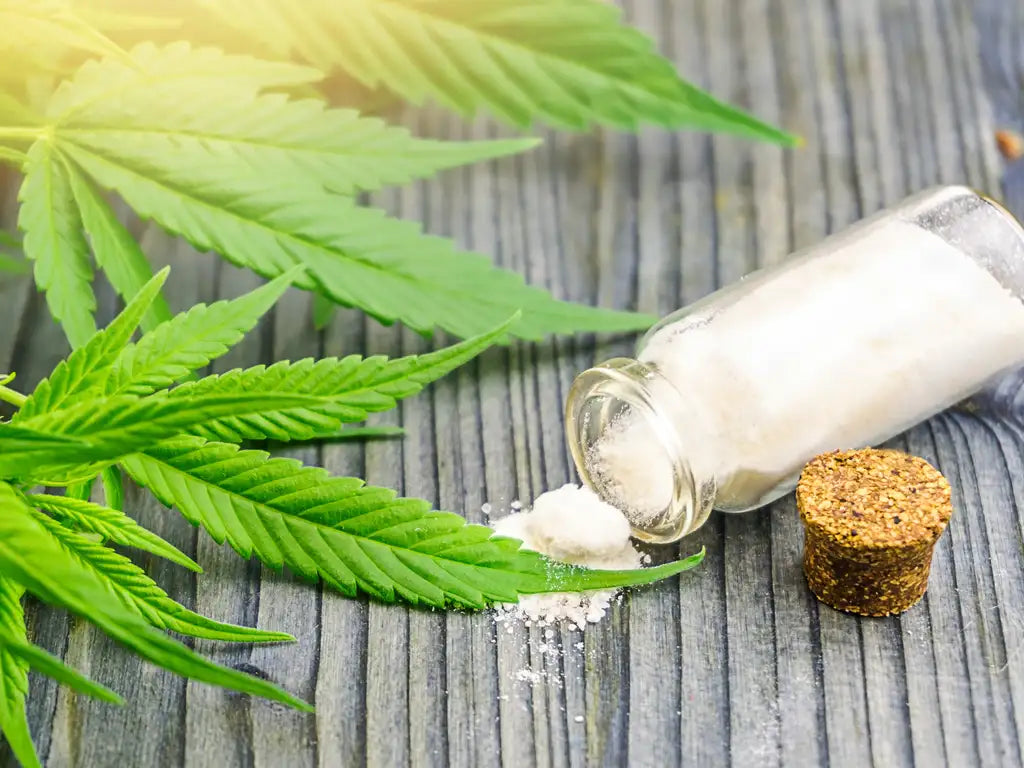 CBD vs. THC: Understanding the Key Differences