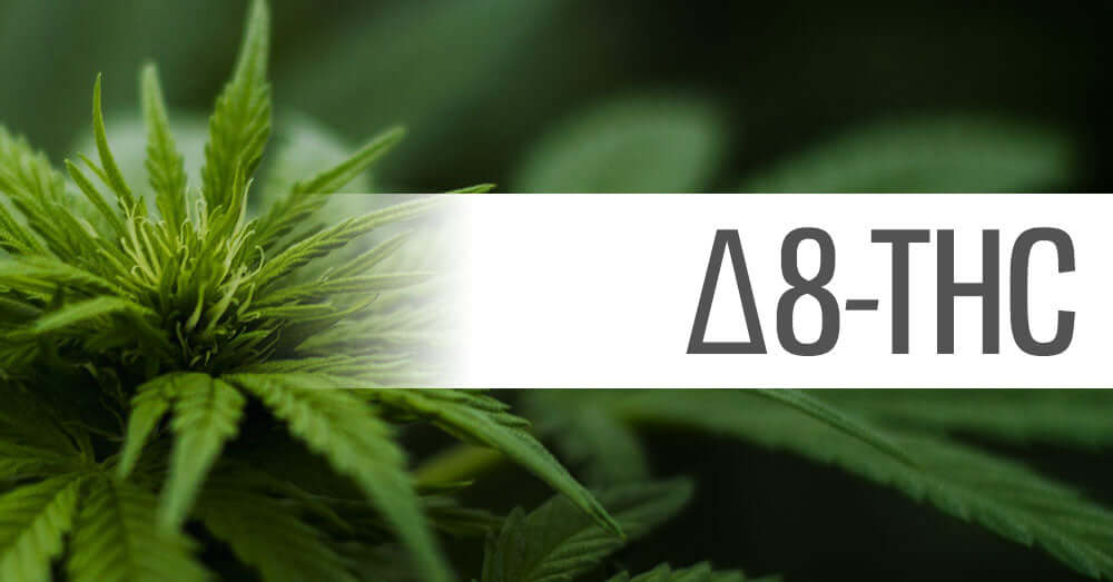 ALL About Delta 8 THC. The New High on the Block